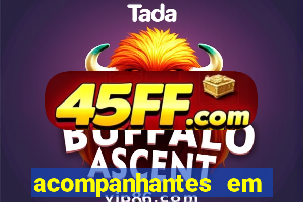 acompanhantes em porto de galinhas